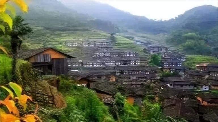 社交媒体项目展示