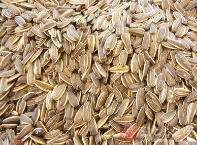 在线教育项目展示